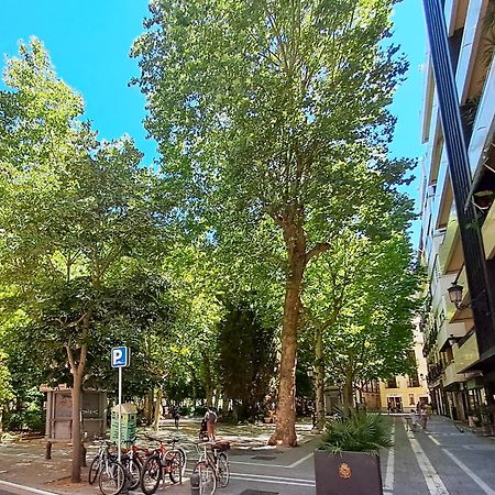 Apartasuite Centro Historico Atico Tranquilo Y Luminoso En El Corazon De Γρανάδα Εξωτερικό φωτογραφία