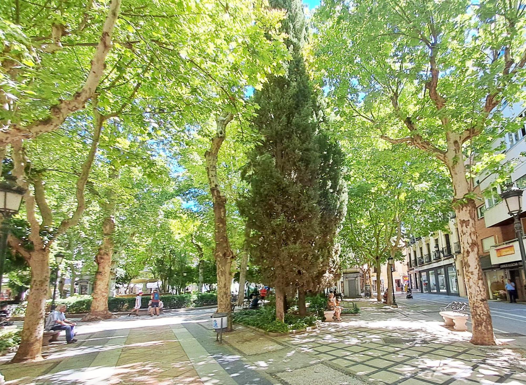 Apartasuite Centro Historico Atico Tranquilo Y Luminoso En El Corazon De Γρανάδα Εξωτερικό φωτογραφία
