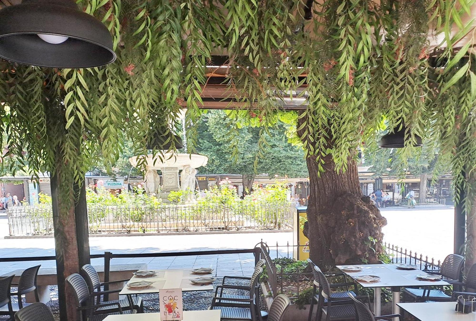Apartasuite Centro Historico Atico Tranquilo Y Luminoso En El Corazon De Γρανάδα Εξωτερικό φωτογραφία