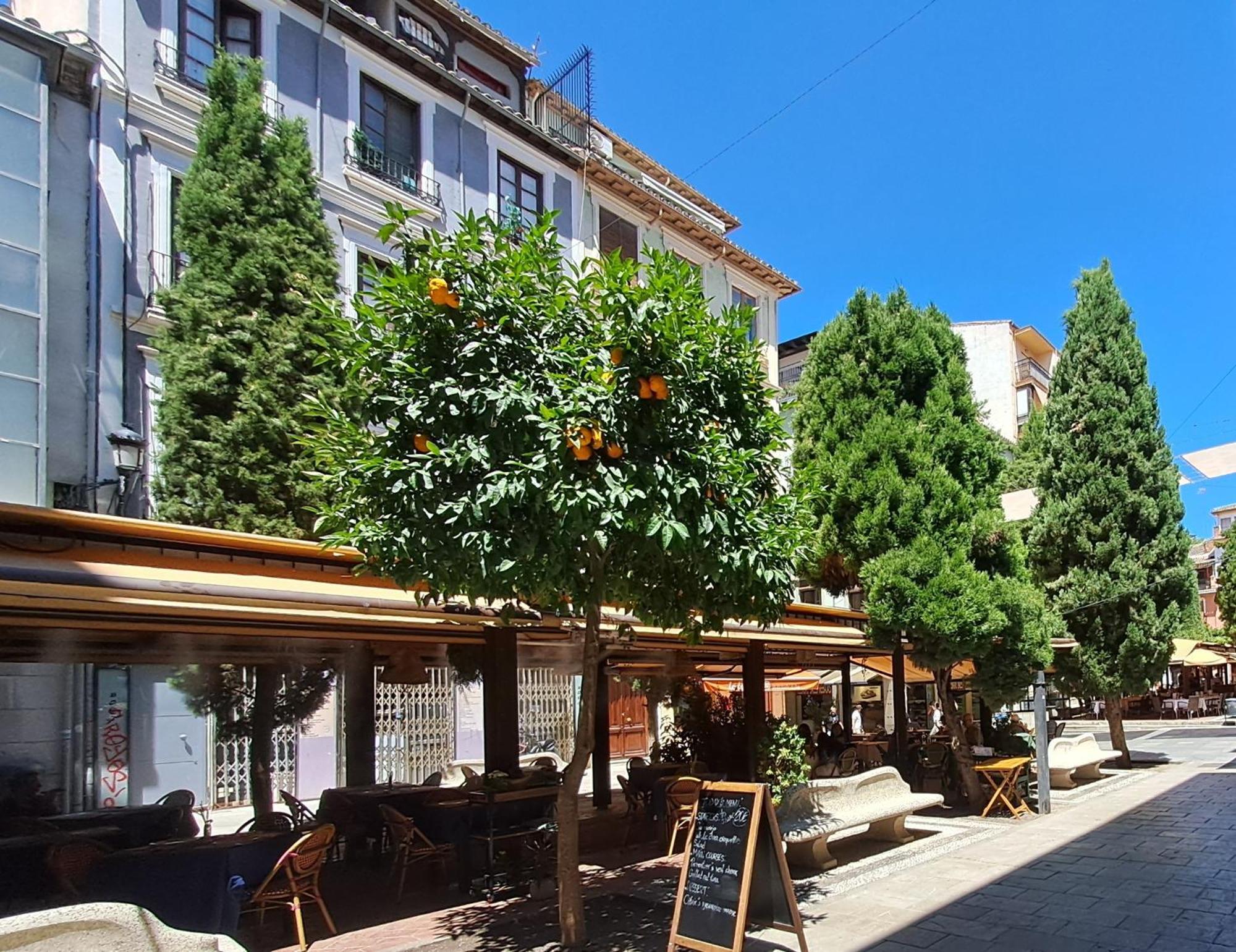 Apartasuite Centro Historico Atico Tranquilo Y Luminoso En El Corazon De Γρανάδα Εξωτερικό φωτογραφία